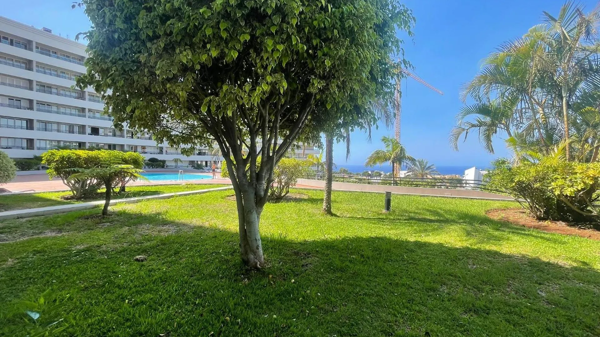 Atlantic Guest Room - Funchal Homestay